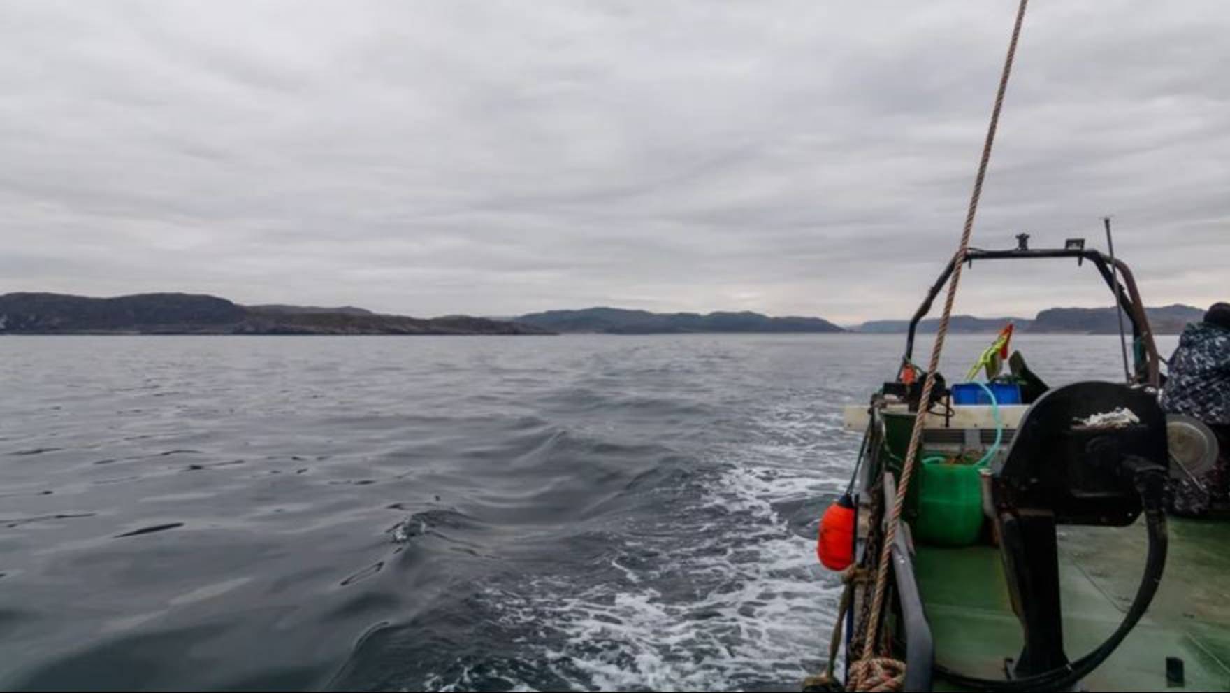 Туристы в Баренцевом море  чуть не перевернулись на лодке и  поранили горбатого кита