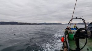 Туристы в Баренцевом море  чуть не перевернулись на лодке и  поранили горбатого кита