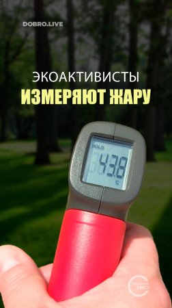Нижегородские экоактивисты измеряют жару