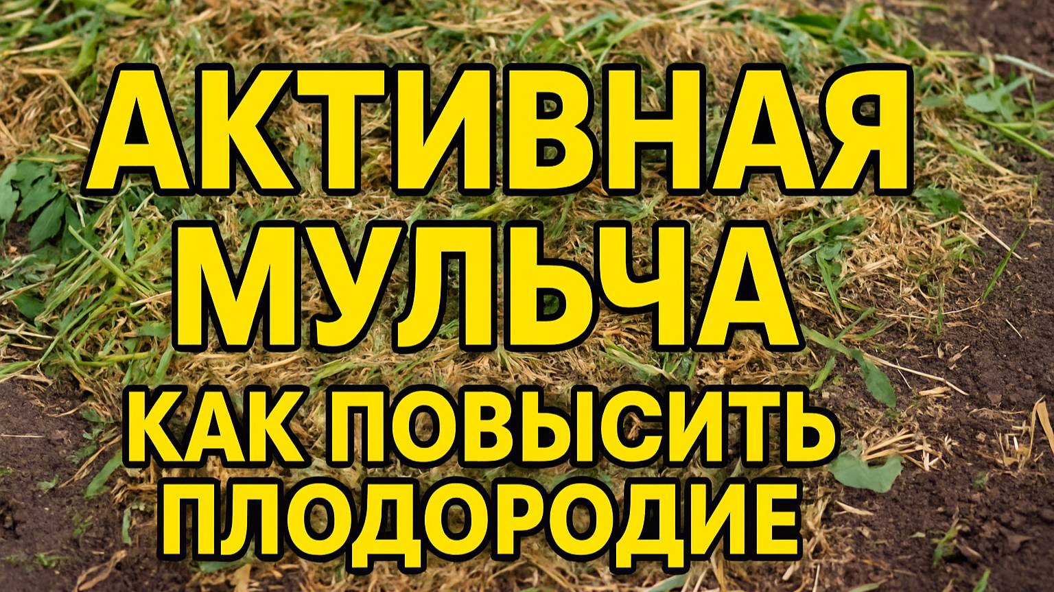АКТИВНАЯ МУЛЬЧА — СЕКРЕТ ПЛОДОРОДИЯ! ПРОСТО И ЭФФЕКТИВНО