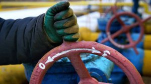 Россия и Турция на ПМЭФ обсудили газовый хаб и поставку энергоресурсов