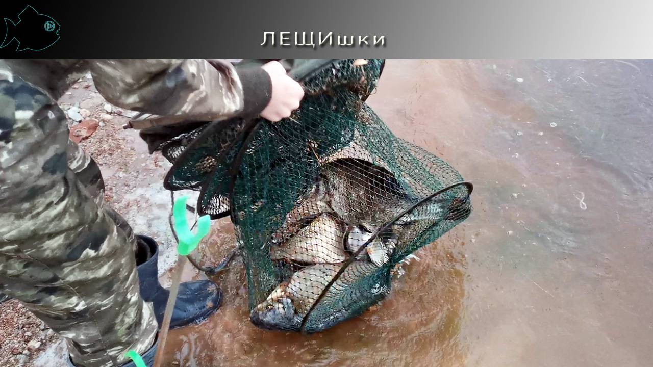 за лещом