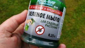 Пробую Зелёное мыло от фирмы Инта-вир от тли на баклажане. Результат