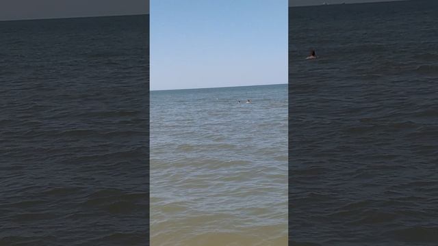 Классная погода в станице Голубицкая на Азовском море