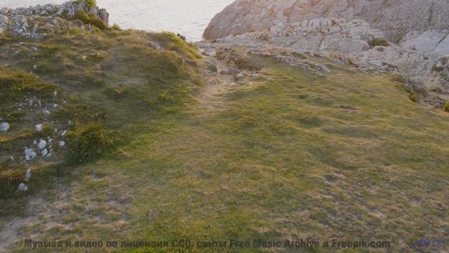 Это видео - как теплый плед в холодный вечер! - A Leap Too Tall -- Sea Offs -- Whats The Point