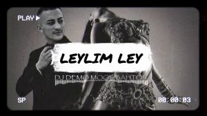 МУЗЫКА ТОП 1
LEYLIM LEY  DJ DEMO