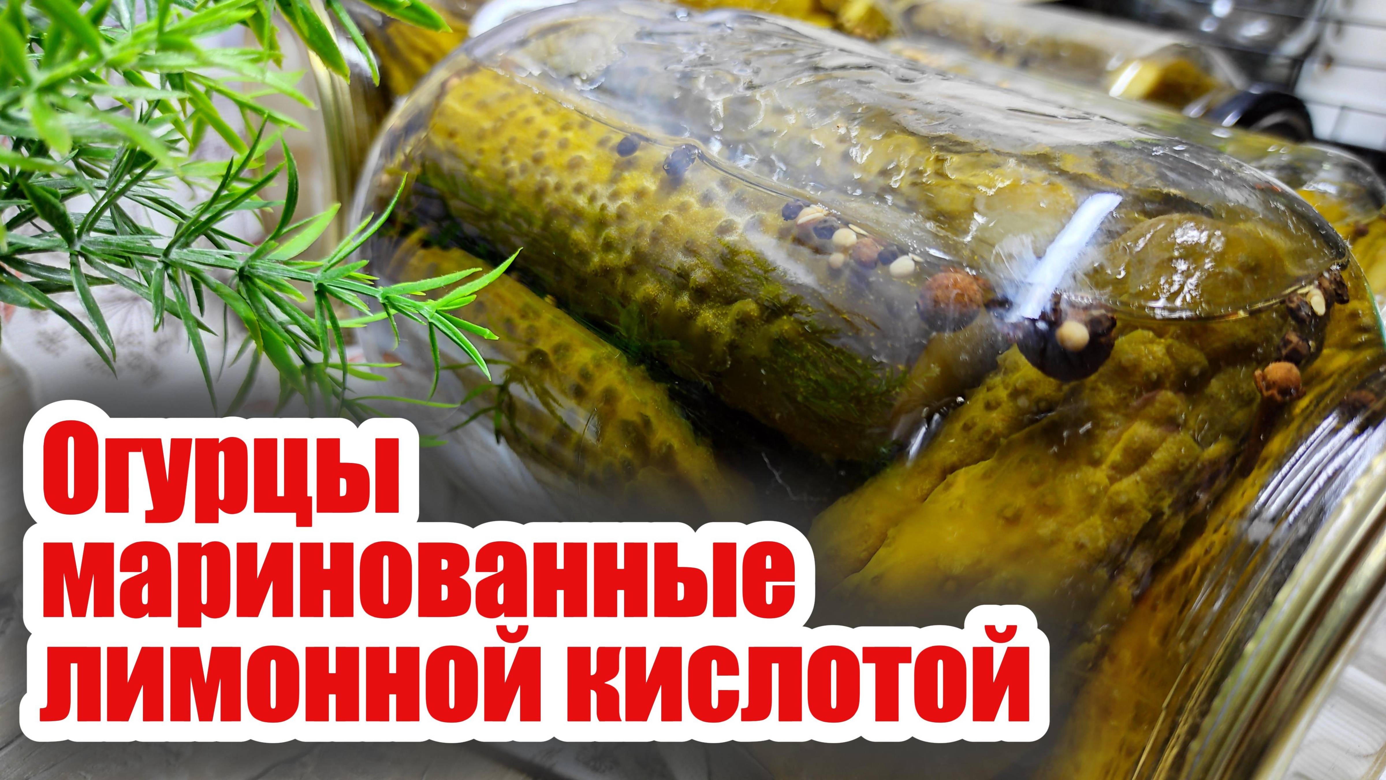 Огурцы маринованные лимонной кислотой