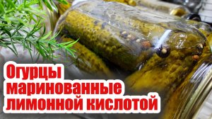 Огурцы маринованные лимонной кислотой