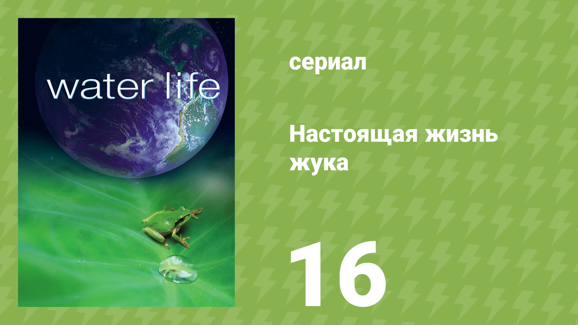 Водная жизнь 16 серия «Экстремальная вода» (документальный сериал, 2009)