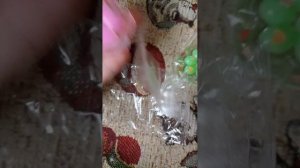 распаковка Тапа лапок 🐾🐹