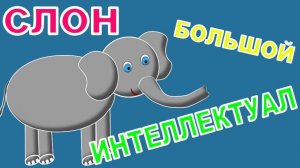 🐥ДЕТСКОЕ СТИХОТВОРЕНИЕ🍭
🐘СЛОН – БОЛЬШОЙ ИНТЕЛЛЕКТУАЛ📚
🌿 Е.В.АМОСОВА