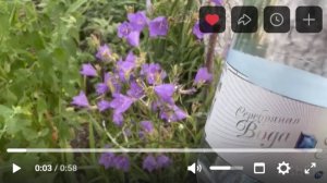 Колокольчики в моем саду с Серебряной водой! Сюжет клиента нашей компании Татьяны А.