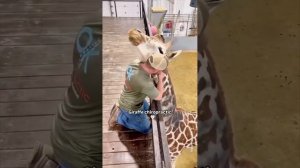 Относитес друг другу вот так, и будет всё прекрасно в вашей жизни.