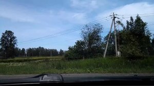 #4256 /20-06-25 г./ Пригороды СПб, ч.7...