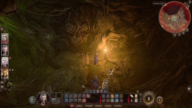 Baldur's Gate 3 Как пройти через живое дерево