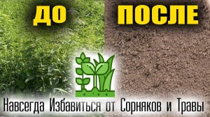 Как Навсегда Избавиться от Сорняков и Травы на участке
