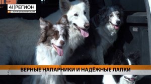 Новости Камчатки за 20 июня 2025 года