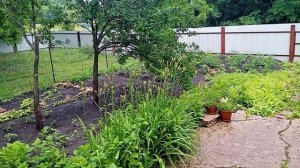 Дождливая погода