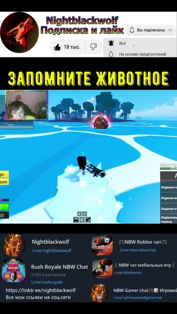 Roblox! Blox Fruits! Грязное животное! #shorts #roblox #роблокс #bloxfruits