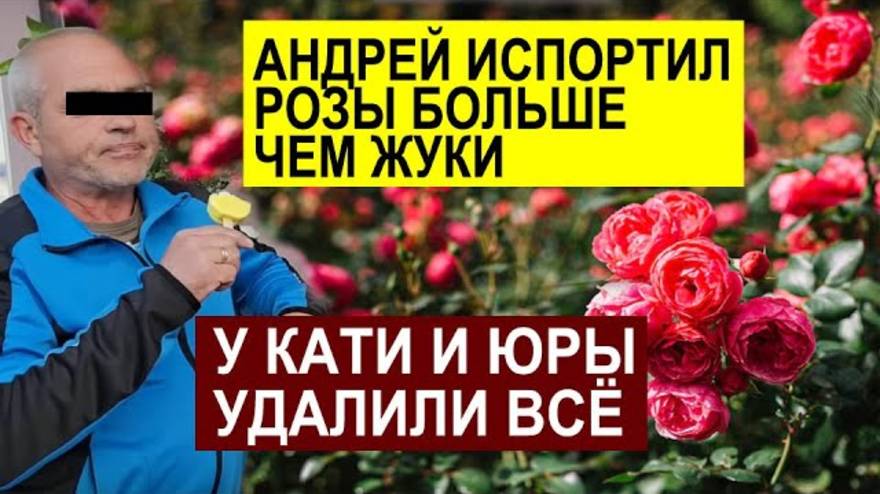 СК- В АРЕНДУ ИЛИ КУПИЛ КВАРТИРУ