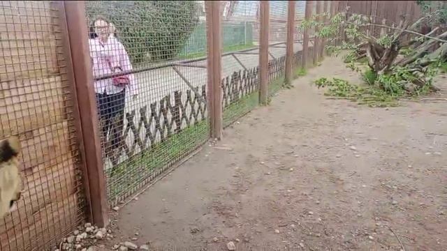 Забег с двумя девушками