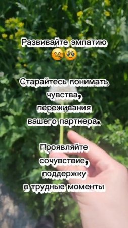 lv_0_20250605190655