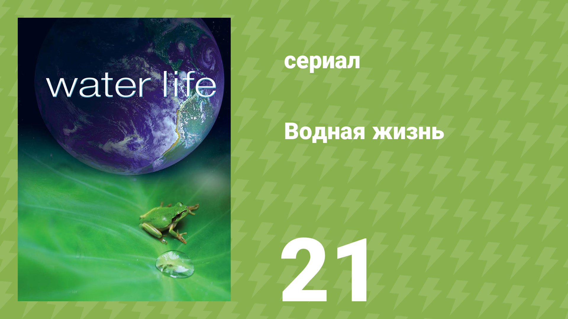 Водная жизнь 21 серия «Подводный город» (документальный сериал, 2009)