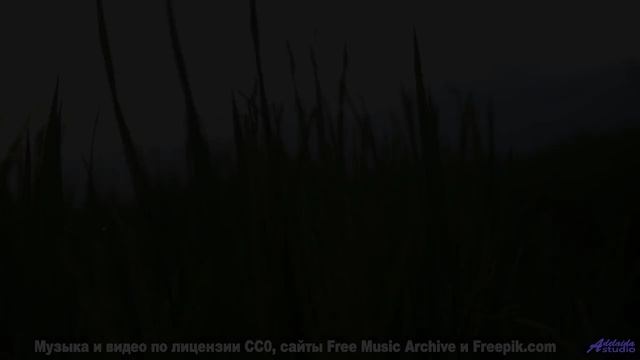 Таинственные звуки природы, которые наука не может объяснить! - Lost In Space -- HoliznaCC0 -- Lost