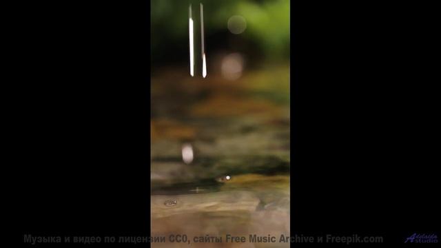 Ты либо рвёшь вперёд под этот бит, либо стоишь на месте! - Dry Fruit -- Laetitia Sadier Source Ensem