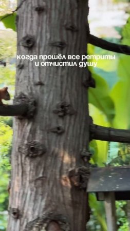 Жизненно ?