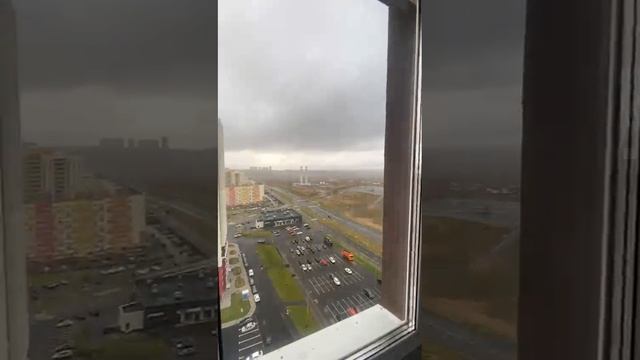 1628988 смотреть онлайн