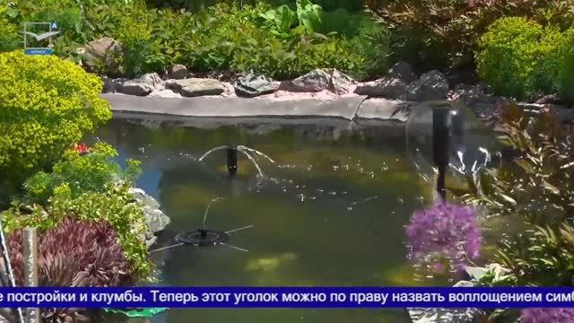 В гостях у сказки: цветущий двор в Пятиречье