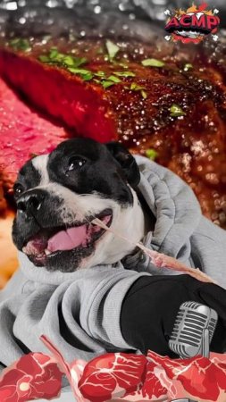 Это не собака, а мясорубка! Наш эксперимент с сырым мясом 🐶🍖 #стаффи #asmr #звуки #мясо #стейк