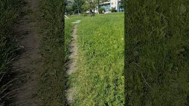 Настроение бодрое