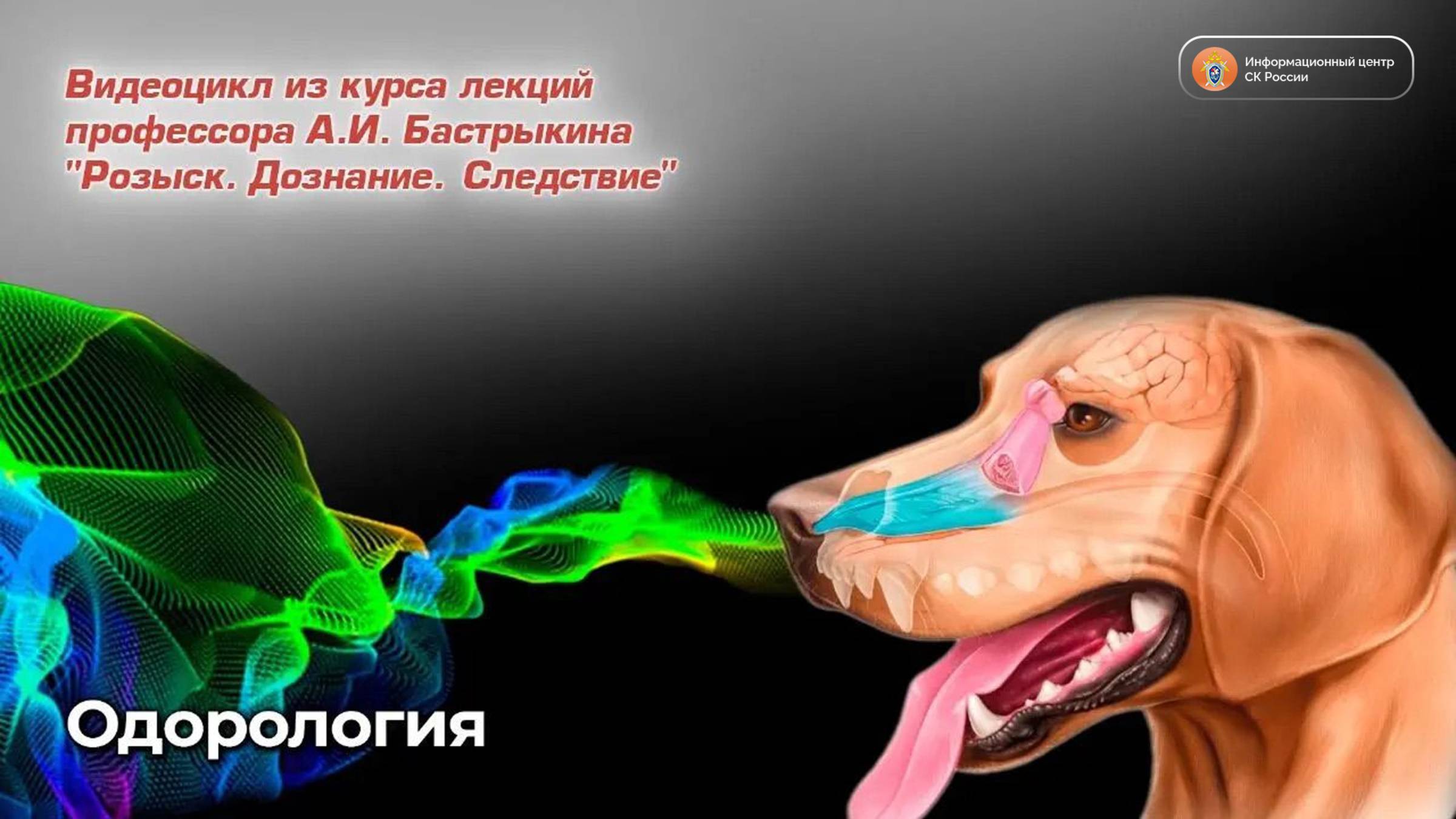 От запаховых следов к раскрытию преступлений: как одорология изменила криминалистику