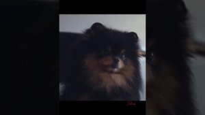 Новости о BTS 20.06.2025г