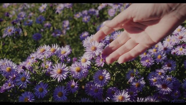 Звуки, которые превратят вас в сверхчеловека - проверьте! - Я боюсь утечки глаза (Людмила Гурченко c