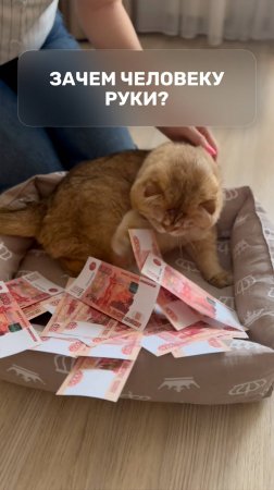 Зачем человеку руки?