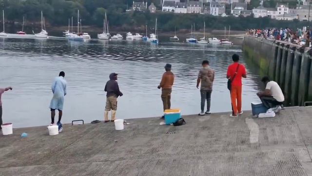 🔴Залив «Дуарнене» во Франции, стал излюбленным местом французов «нового поколения»🔴
