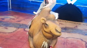 Астраханская область в тематическом павильоне города Астрахани на всероссийской выставке парке ВДНХ