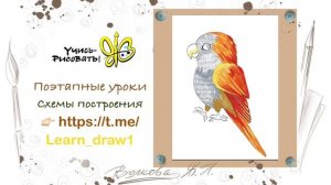 как нарисовать попугая
