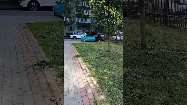 Веселы