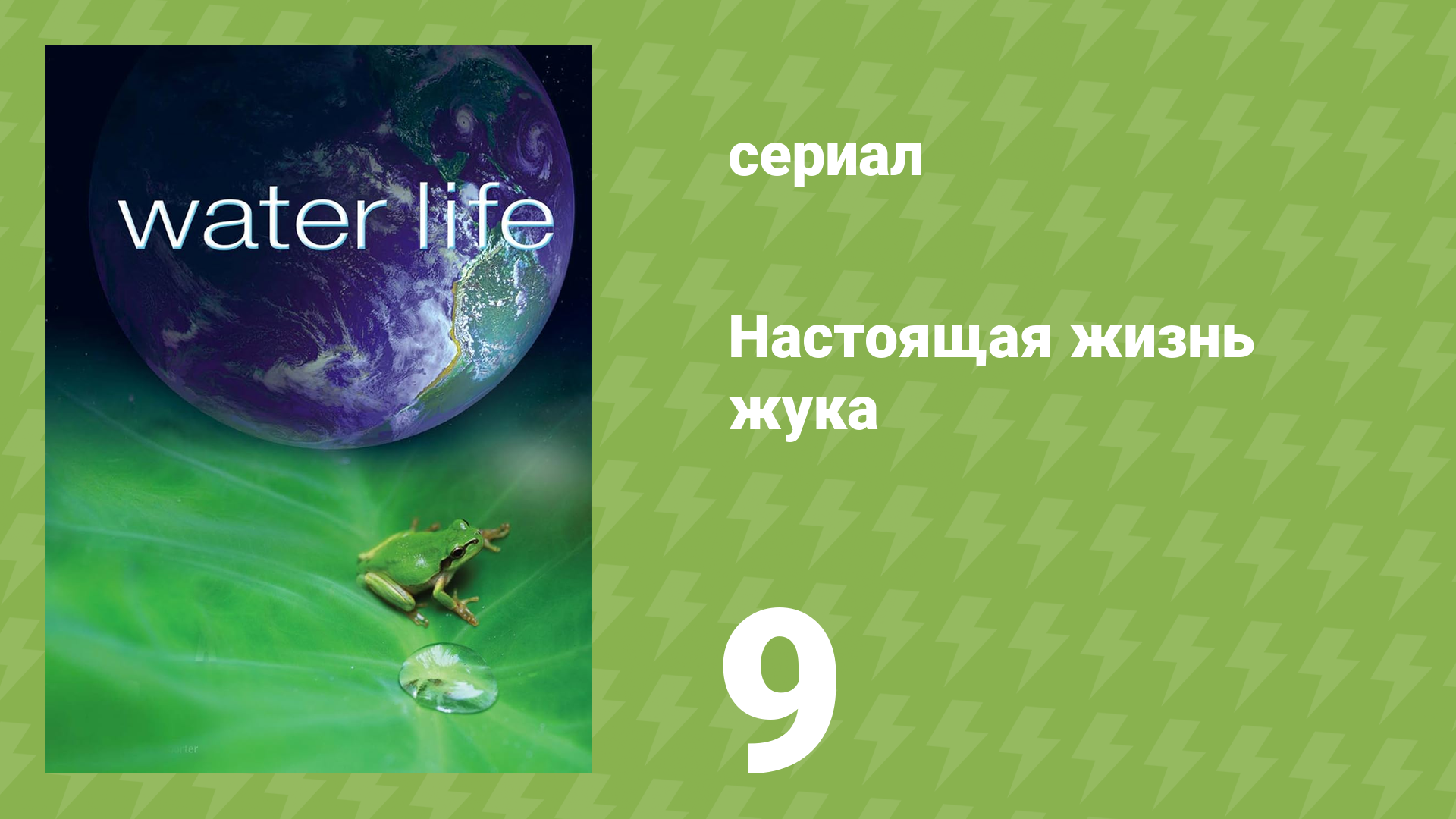 Водная жизнь 9 серия «Оболочка воды» (документальный сериал, 2009)