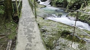 абхазия-ущелье Черниговка.