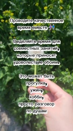 lv_0_20250605190342