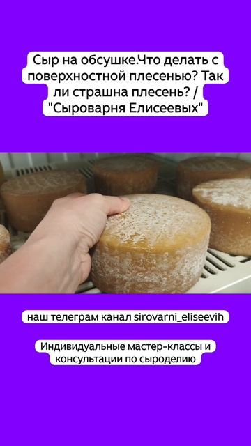 Сыр на обсушке.Что делать с поверхностной плесенью? Так ли страшна плесень? / "Сыроварня Елисеевых"