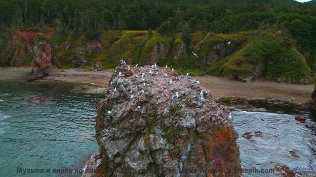 Дороги, поля и горизонты пульсируют в ритме трека - Alptraum -- Roboy -- Le Petit chat doit mourir