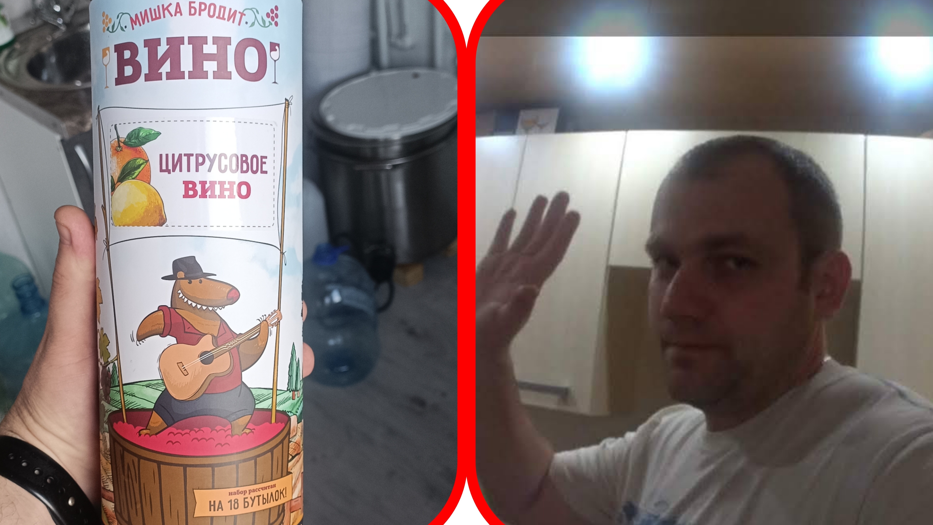 ВИНО МИШКА БРОДИТ, ЧТО ЭТО, ПРОВЕРЯЕМ!