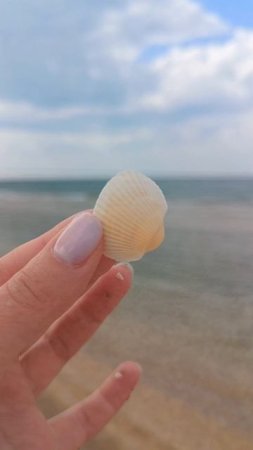 Пляж на Азовском море село Каменское  🌊☀