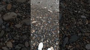 сегодня бегаю в Сочи